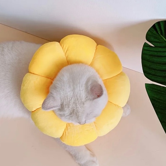 Sunflower Pet Recovery Neck Cone Collar - Picture 7 of 14